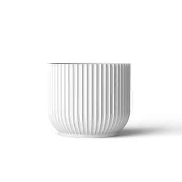 Форм деятельности предопределяет